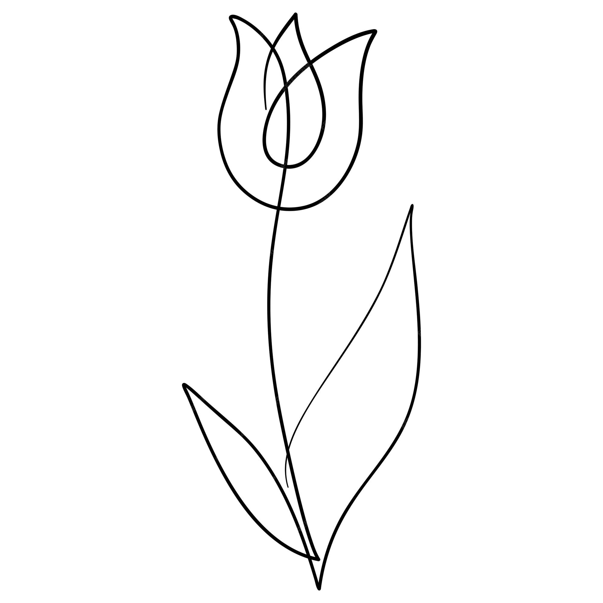 Premium Vector One line drawing tulip flower