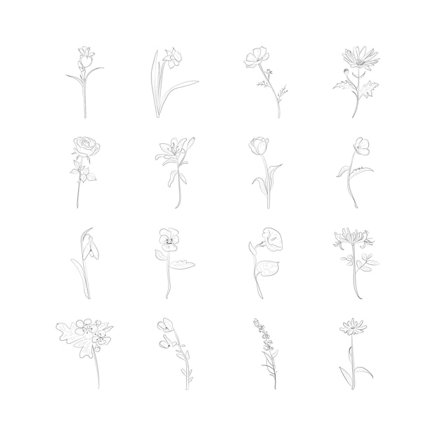 One Line Flowers Line Art Set