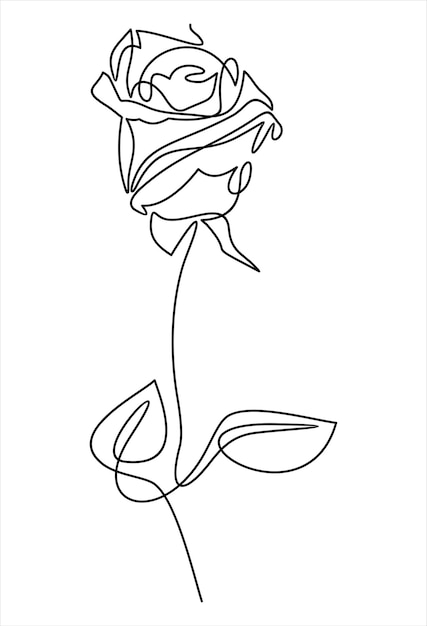 Design a una linea di rose illustrazione in stile minimalismo disegnata a mano