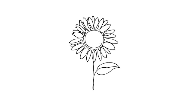 One line sunflower element Black and white monochrome continuous single line art