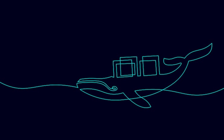 Vector one line whale and container computer docker developer app concept. sketch drawing open source program. data coding vector line illustration