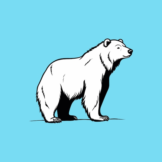 One polar bear standing on blue background