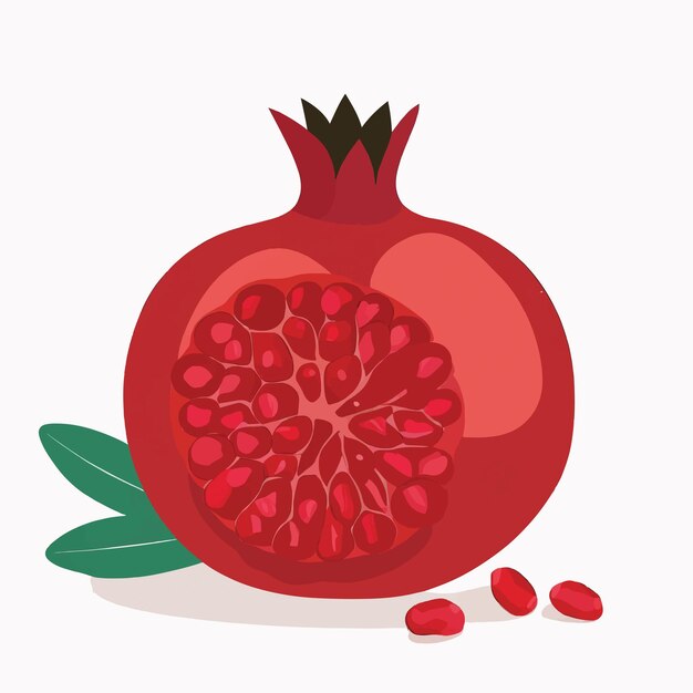 Vector a one pomegranate on a white background