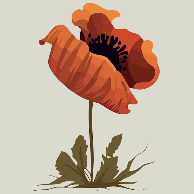 Vector one red poppy flower