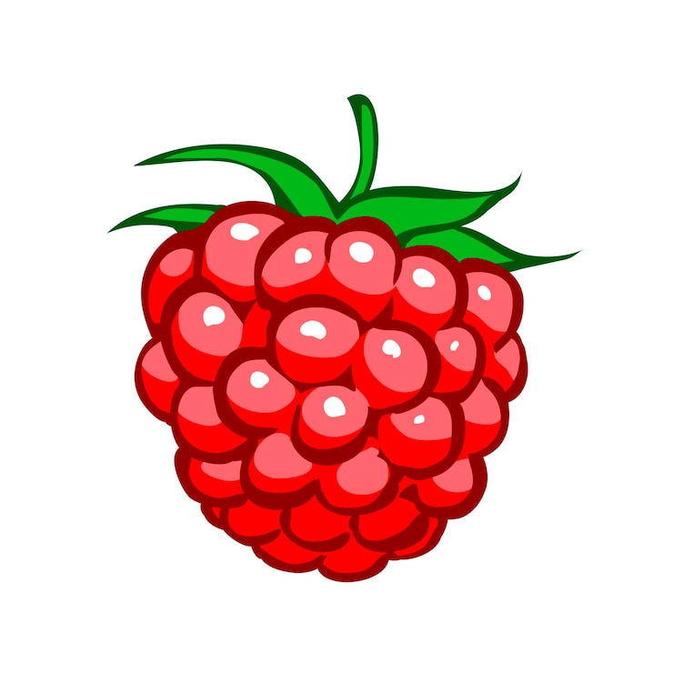 Vector one red raspberry isolated on white background