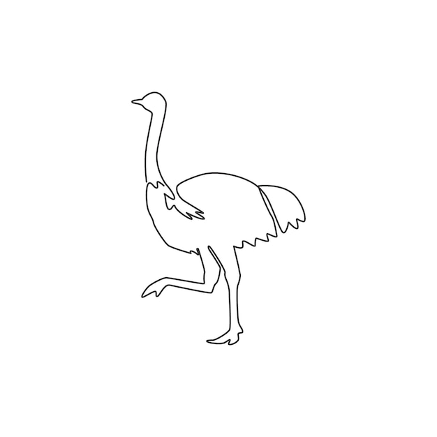 One single line drawing of giant running ostrich Flightless bird mascot design vector illustration