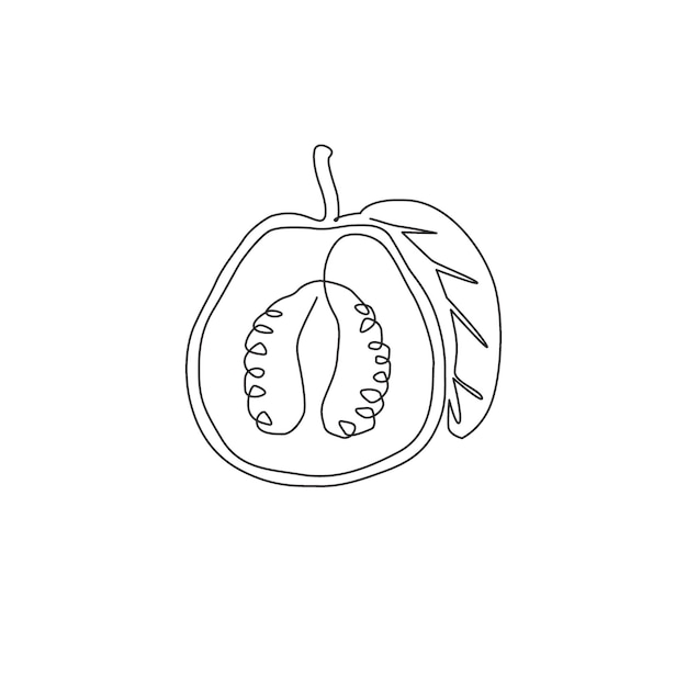 과수원 로고를 위한 건강한 자바 구아바를 반으로 자른 단일 선 그리기 신선한 열대 과일 아이콘
