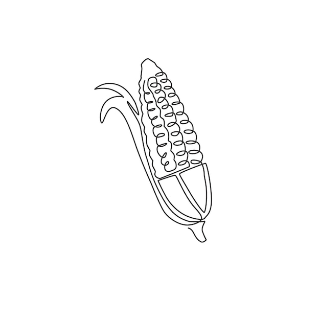 One single line drawing of healthy organic corn Fresh maize vegetable icon design illustration