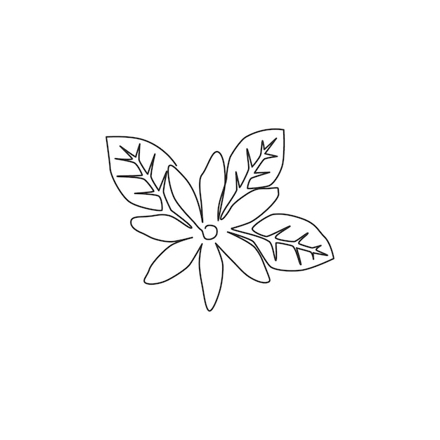 One single line drawing jasmine flower for tea drink logo Printable jasminum for wall decor poster