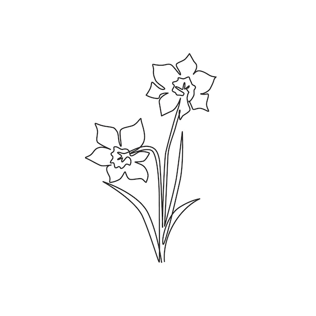 Рисунок логотипа сада нарциссов одной линией. Вектор дизайна декоративного цветка нарцисса для печати.