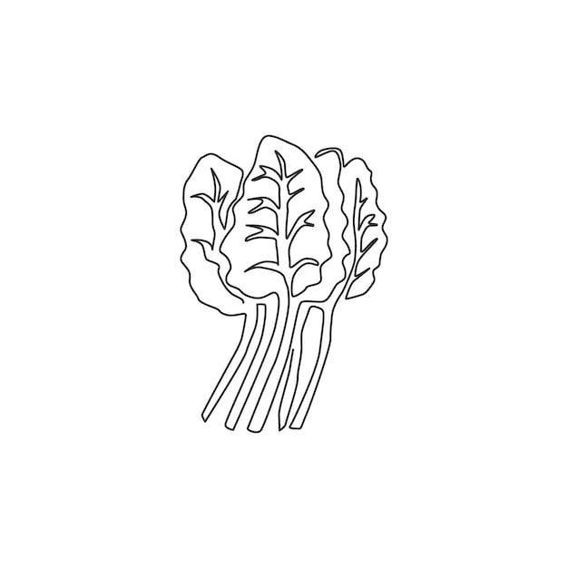 ロゴ用の 1 本の線画有機スイスチャード野菜アイコン用の新鮮な葉の多いほうれん草ビート