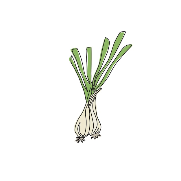 One single line drawing of whole healthy organic leek Fresh ingredient design vector illustration