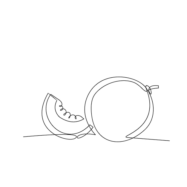 One single line fresh melon logo continuous