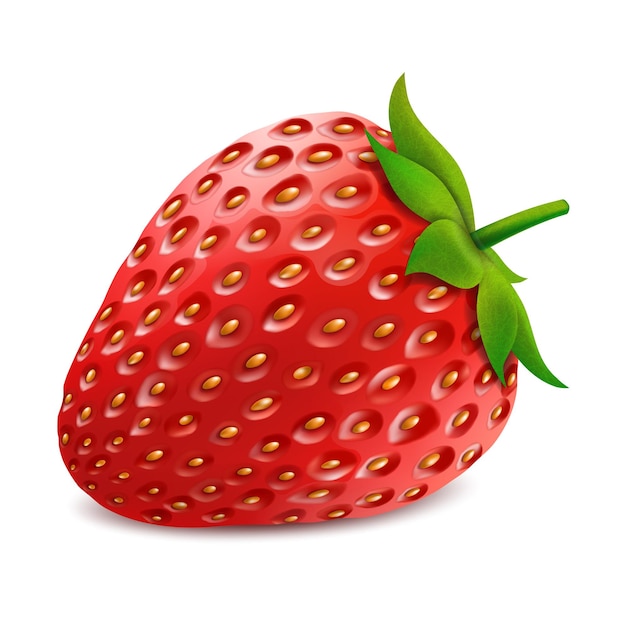 One whole strawberry. Fresh red ripe mellow berry on white background. Realistic 3d isolated vector illustration