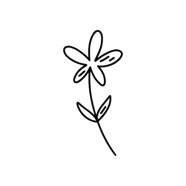 Vector one wild flower contour