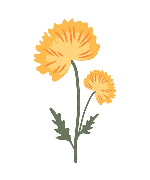 葉と小さな芽を持つ1つの黄色い花と長い茎のベクトル植物学的なイラスト アイコンフレームデザインの休日イラストに適しています