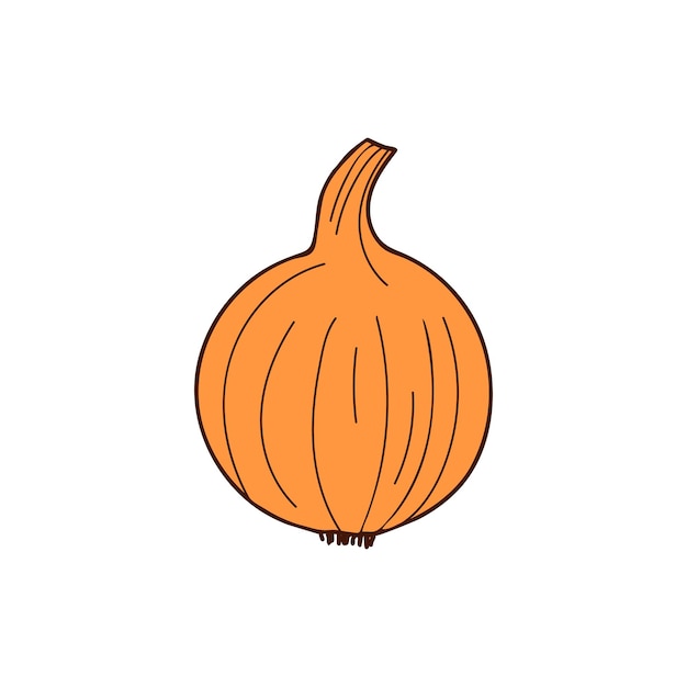 Onion colorful doodle illustration in vector