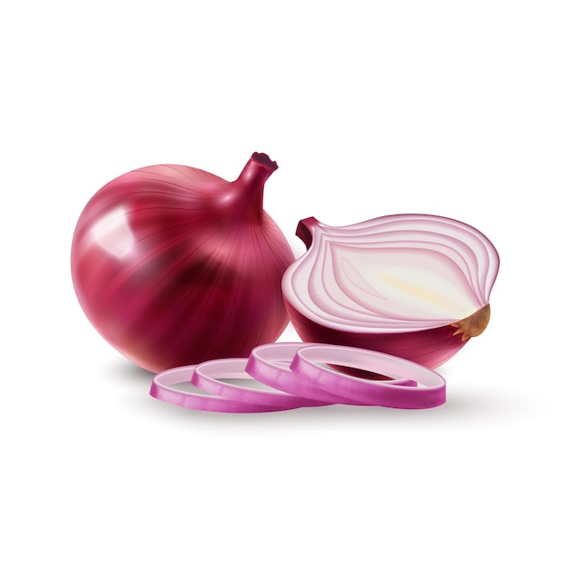 Onion composition Watercolor hand drawn illustration isolated on white background