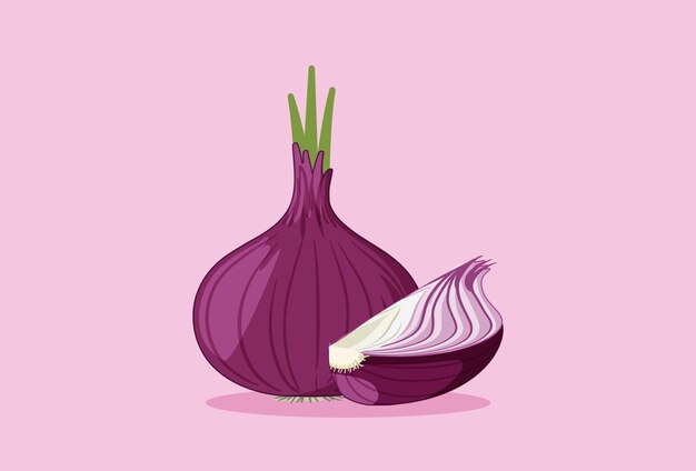onion concept illustration stylish and beautiful