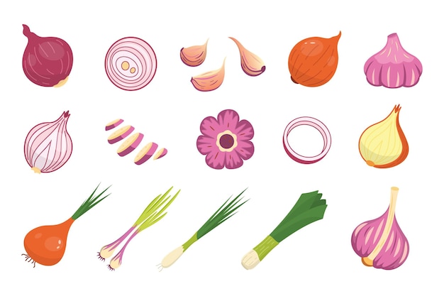 Onion and garlic different  icons set. Fresh cartoon organic whole and sliced onions vegetable collection.