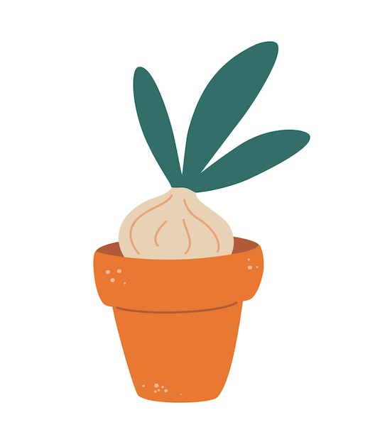 Onion in a pot. Sprout of a young plant. Growing green onions at home. Plant growth stages. Growing green onions in pot. Flat vector illustration.