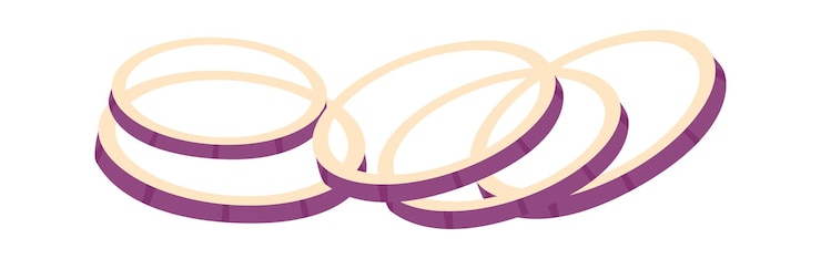 Vector onion rings herb spice vector illustration