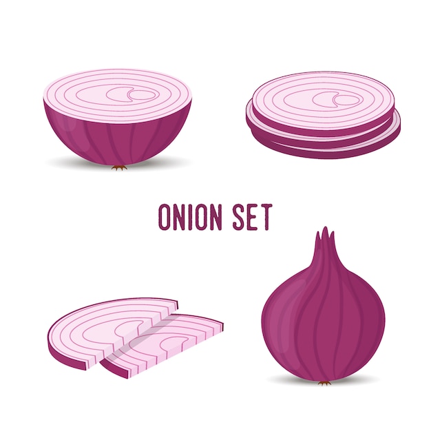 Onion set, slices and whole purple vegetable