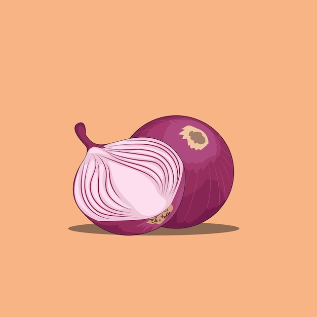 onion vector