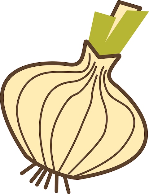 Onion Vegetable in Line Art Sketch Doodle Style