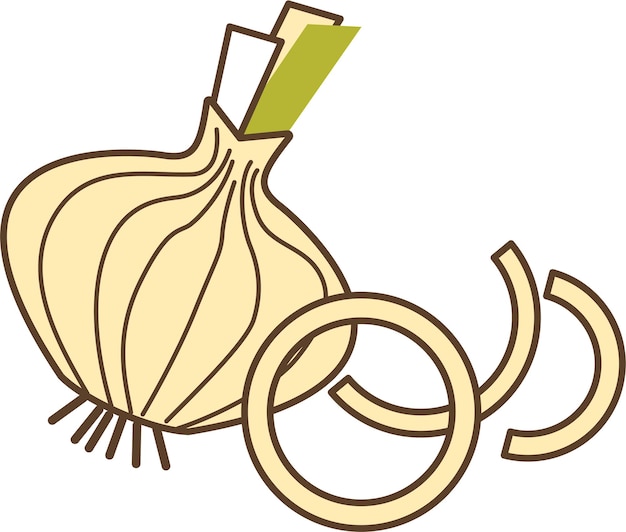 Vector onion vegetable and two onion rings in line art sketch doodle style