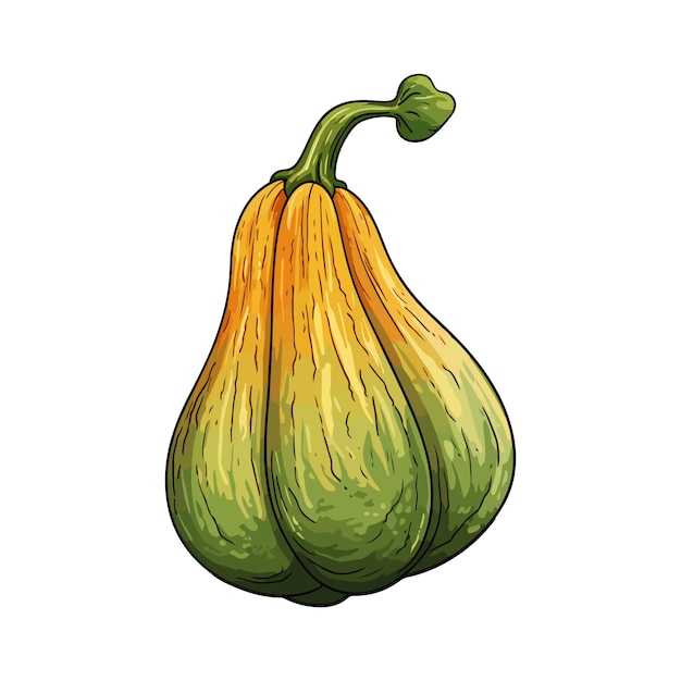 onion vegetable vector