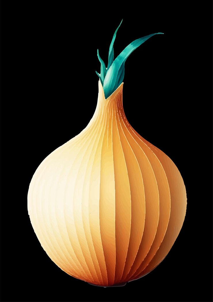 Vector onion without background