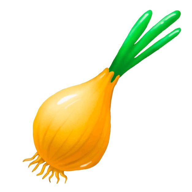 Vector onion