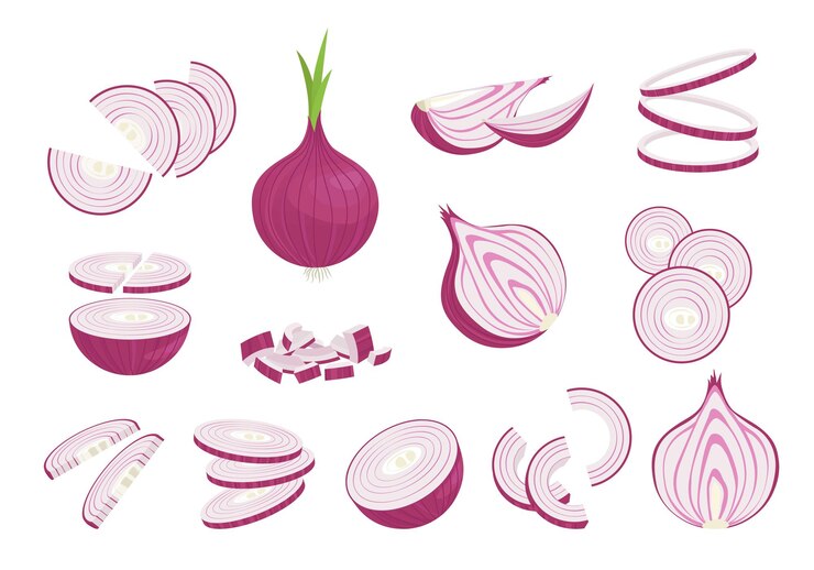 Onions in various cuts set. Whole and slices purple vegetable for seasoning and baking half and cut thin rings for salad and garnish natural wholesome and natural diet. Vector ripe harvest.