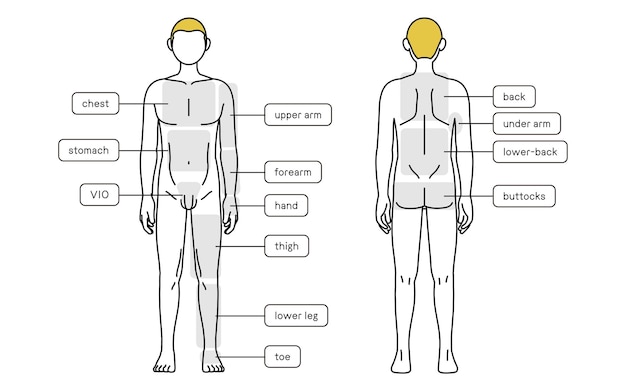 Vector ontharing voor het hele lichaam voor en achter nude