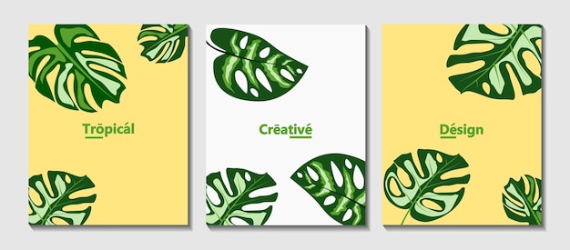 Ontwerp lay-out met tropische bladeren vector Trendy ontwerp voor brochure kaart omslag boek poster