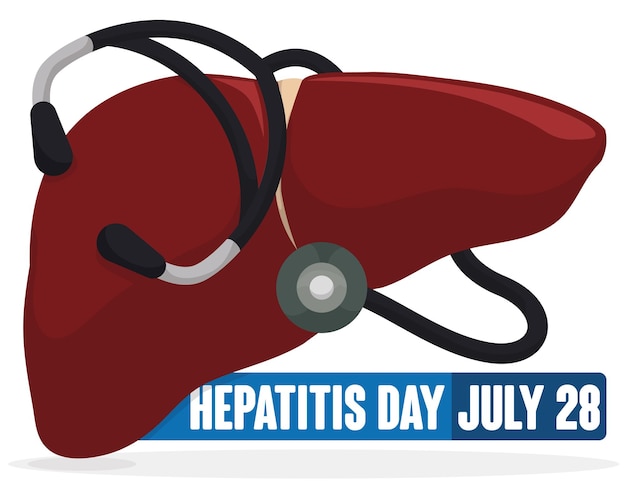 Ontwerp met lever en stethoscoop eromheen voor Hepatitis Day
