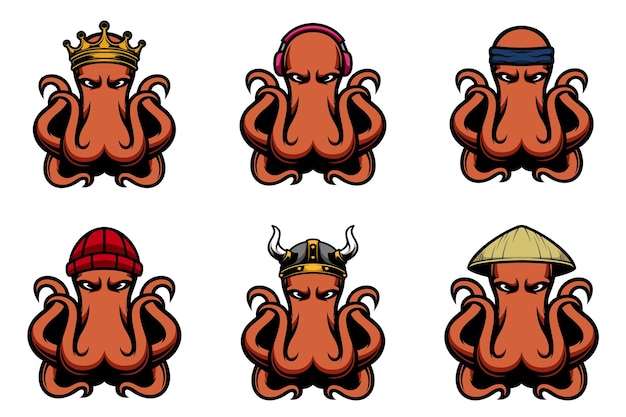 Ontwerp van de octopusbundel