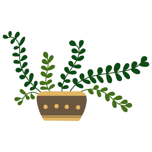 Ontwerp van een kamerplant. Vector illustratie.