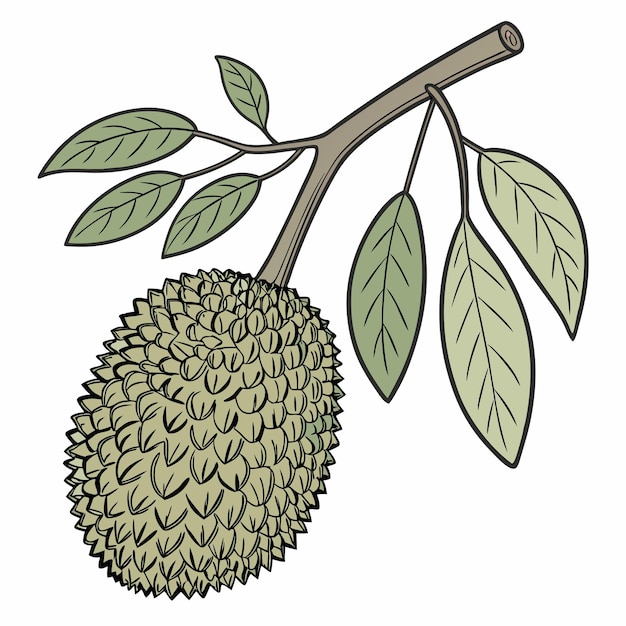 Ontwerp van jackfruit