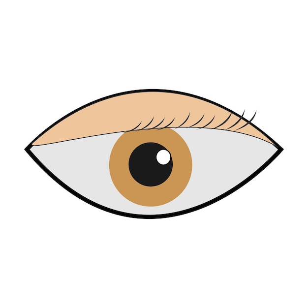 Oog icoon vector