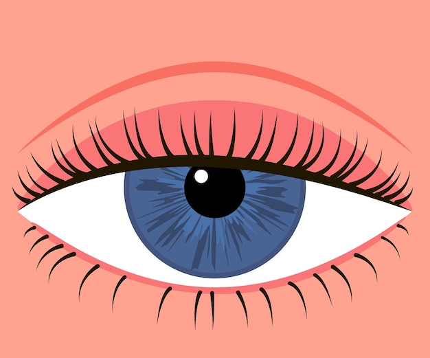 Vector oog met neergelaten ooglid ooglidcorrectie ooglidcorrectie correctie esthetische weergave van het oog vectorillustratie