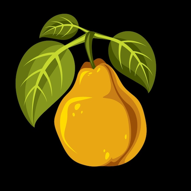 Oogsten symbool, vector fruit geïsoleerd. Enkele biologische zoete peer sinaasappel met groene bladeren, gezonde voeding idee design icoon.