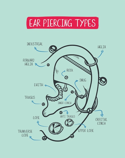 Oorpiercing diagram Top verschillende soorten oorpiercing trendy posities