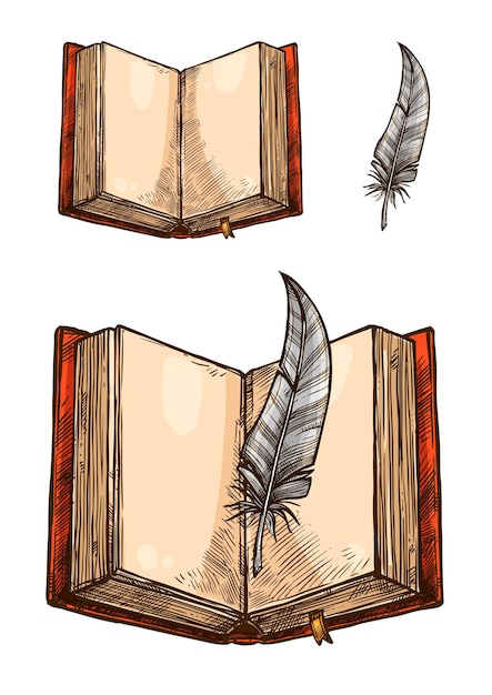 Vector open book with empty page and feather pen sketch