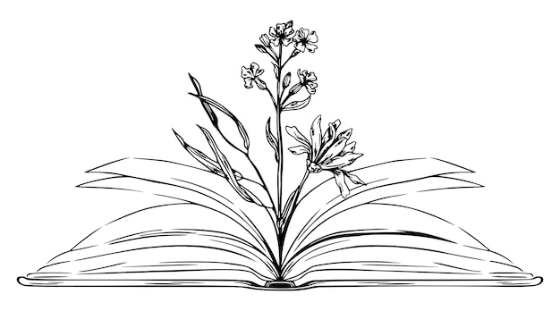 Libro aperto con fiori all'interno dell'illustrazione disegnata a mano dello schizzo