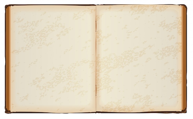 open book with old blank pages