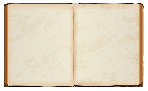 Vector open book with old blank pages