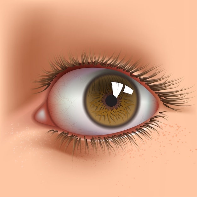 open human eye close up