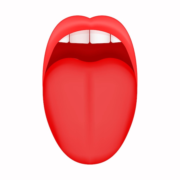 Open mouth with sticking out tongue and upper incisors teeth Human taste organ isolated on white background Vector cartoon illustration